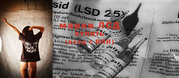 PSILOCYBIN Алзамай