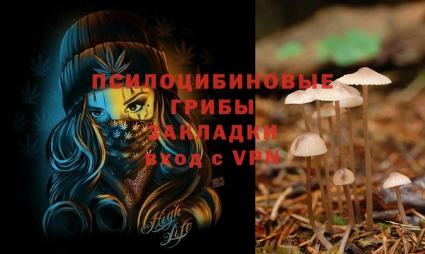 PSILOCYBIN Алзамай